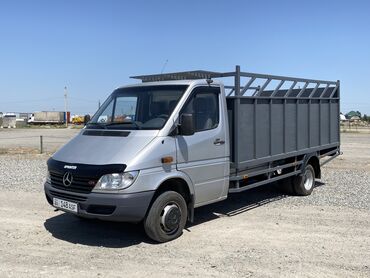 Mercedes-Benz: Mercedes-Benz Спринтер: 2003 г., 2.9 л, Механика, Дизель, Бус