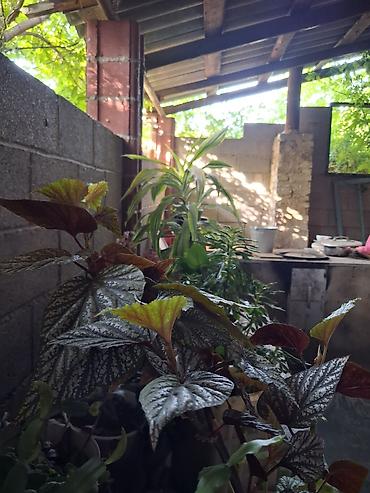 Продажа коттеджей и домов: Дом на ст. Ивановке. Площадь дома — 110 м², участок — 6 соток. - — 3