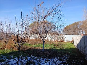 Продажа коттеджей и домов: Продаётся большой дом в селе Петровка с большим участком 40 — 4