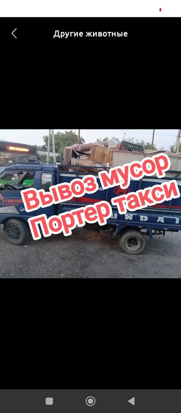 садовый вар бишкек: Портер такси Портер услуги портер такси портер услуги портер такси