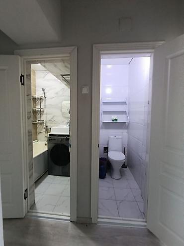 centr park: 3 комнаты, 86 м², Филармония Индивидуалка, 9 этаж, Евроремонт — 7
