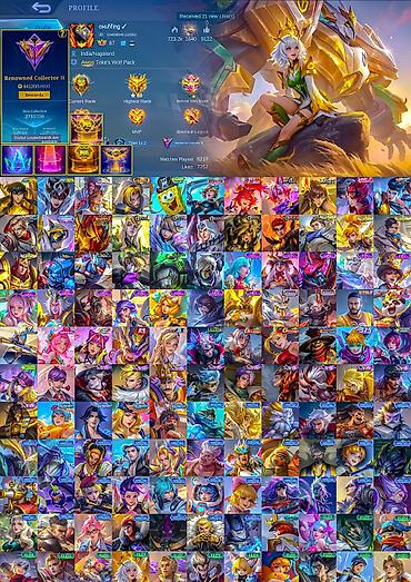 array informatika pdf 2025: Mobile Legends hesabı – zəngin skin kolleksiyalı profil. Hesab — 1