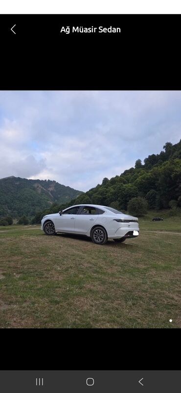 фольксваген поло новый кузов: Sertfikati olan surucu teleb olunur gunluk ve mais verilir heftelik