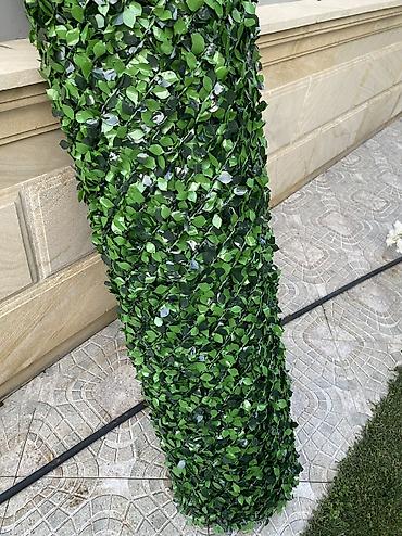kələm gülü: 🌿 Yaşıl Hasar – Təbii Görünüş, Uzunömürlü Keyfiyyət! 🌿 🏗 Paslanmaz — 10