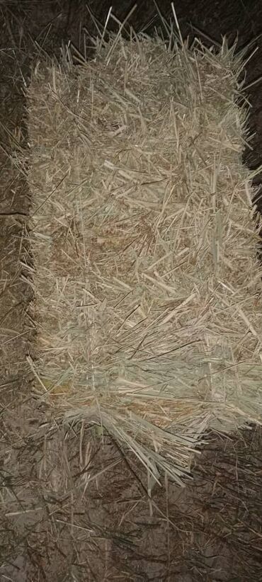 корм для животных: Продается сено с поля ячмень с клевером по 150