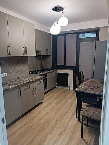 one room apartment: 1 комната, Собственник, Парам без детей, С мебелью полностью — 1