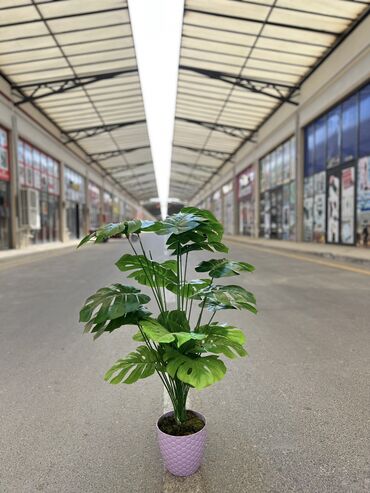 Süni güllər: 50 man baslayan qiymetler — 7