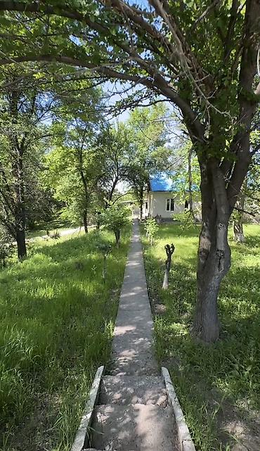 Продажа участков: 50 соток, Для бизнеса, Договор купли-продажи, Красная книга, Тех паспорт — 5