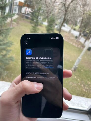 Apple iPhone: IPhone 13, 83 % — 2