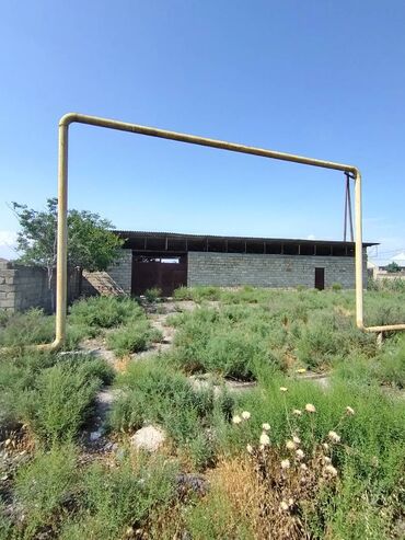 Torpaq sahələrinin satışı: 12 sot, Kupça (Çıxarış) — 3