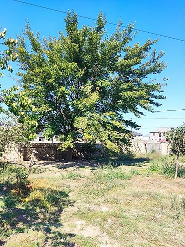 güvən əmlak mingəçevir: Balaxanı qəs. 5 otaqlı, 4 kv. m, Kredit yoxdur, Yeni təmirli — 2