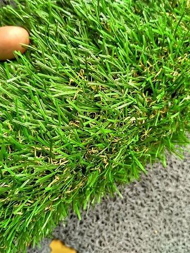 greenpro: 🌱✨ Хотите идеальный зеленый уголок без лишних хлопот? Мы предлагаем — 4