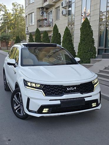 Kia: Kia Sorento: 2022 г., 1.6 л, Автомат, Гибрид, Кроссовер — 12