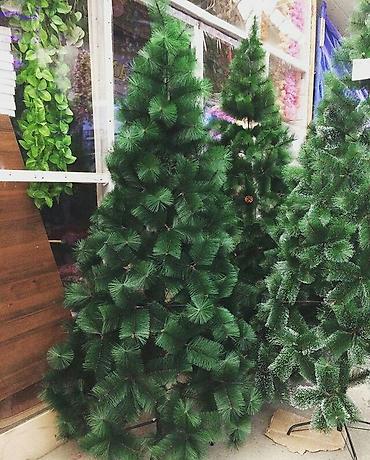 das yun satisi: Yolka satisi teze mallar endirimde Yeni il agaci Diger olcilerde var — 3