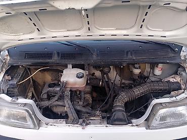 Fiat: Fiat Ducato: 2 l | Mikroavtobus — 2