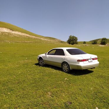 тайота камри 1995: Toyota Camry: 1997 г., 2.2 л, Автомат, Бензин, Седан