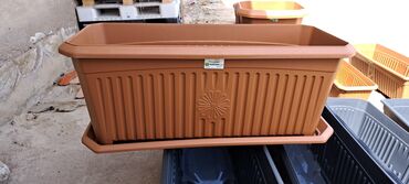 CD, DVD disklər və kassetlər: Dibcek qabi dibcek qablari gul qabi gul qablari bag ucun dibcek — 14