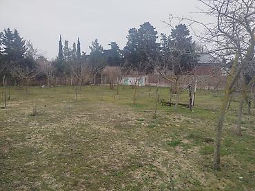 Torpaq: 30 sot, Tikinti, Makler, Kupça (Çıxarış) — 6