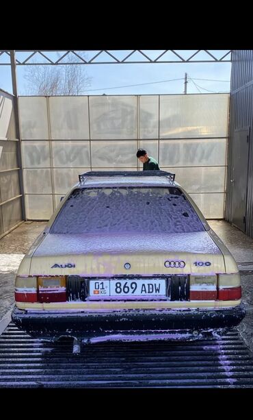 Audi: Audi 100: 1988 г., 1.8 л, Механика, Газ, Седан