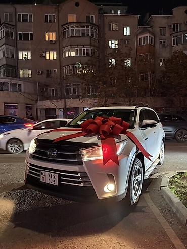 Декоративные ленты и банты: Большой декоративный бант для автомобиля - Яркий красный цвет — 22