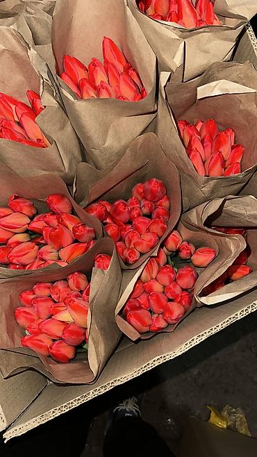 Букеты из живых цветов: Тюльпаны в крафтовой упаковке — срезанные бутоны на крепких стеблях — 2