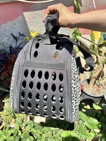 pisik qefesi: Heyyoyo brendi daşıma çantası – kiçik ev heyvanları üçün - Növ — 4