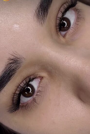 Ресницы: Ресницы, Голливуд, Классика, 2D, С выездом на дом, Консультация, Гипоаллергенные материалы — 5