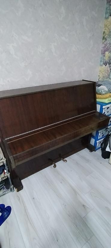 dost: Xezer rayonu. Merdekan gesebesi. Normal — 2