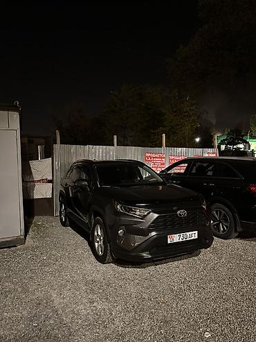 raf 4 2018: Toyota RAV4: 2019 г., 2.5 л, Типтроник, Бензин, Кроссовер — 2