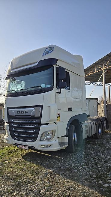 Тягачи: Тягач, DAF, Без прицепа — 6