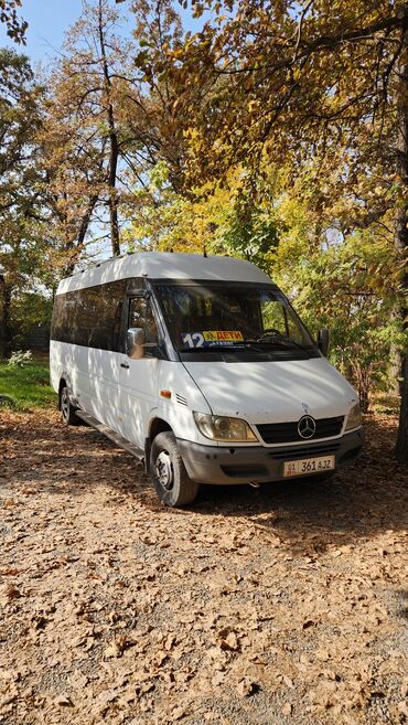 фаст фуд на колесах купить бу: Mercedes-Benz Спринтер: 2003 г., 2.7 л, Механика, Бензин, Бус