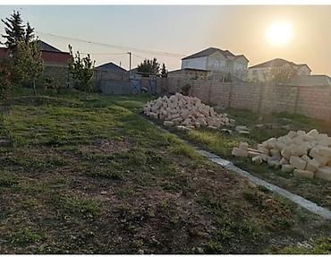 savalan torpag: Tikinti, Kupça (Çıxarış) — 4