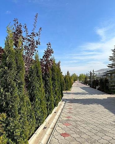 Аренда квартир на Иссык-Куле: Аренда квартиры на Иссык-Куле, Париж, Чок-Тал, 5 мест — 18