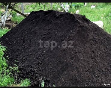 Ağaclar: Hər vaxtınız xeyir olsun dəyərli müştərilərimiz. Bizə vaxt ayırdığınız — 4