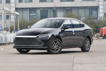 BYD: BYD : 1.5 l | 2024 il Sedan