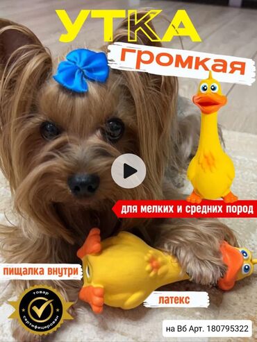 Зоотовары: 💥РАСПРОДАЖА💥 игрушек для собак на ВБ. Большой выбор прочных и