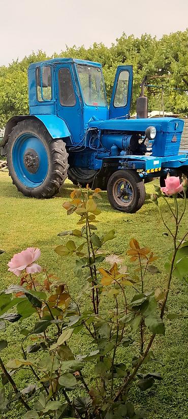 Traktorlar: Traktor Belarus (MTZ) T28, 1995 il, 999 at gücü, motor 10 l, Yeni — 3