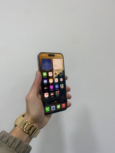 Apple iPhone: IPhone 15 Pro Max, 256 GB, Face ID