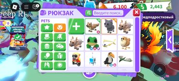 аквариумный нагреватель: КАЖДАЯ ПО 100 А ФР 200 Игровые питомцы и аксессуары из Adopt Me!