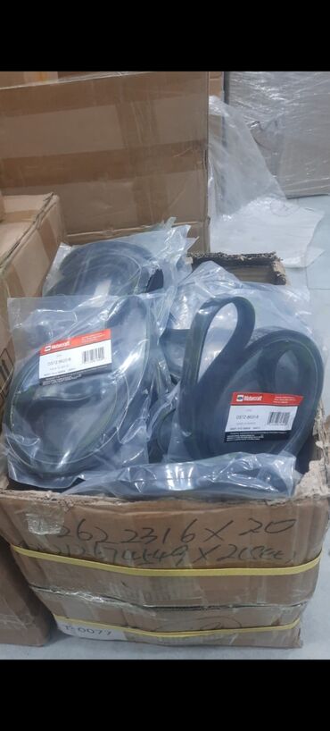 Amortizatorlar: Tam komplekt, Ford, 2015 il, Yeni -da lalafo.az — 4 Amortizatorlar: Tam komplekt, Ford, 2015 il, Yeni — 4