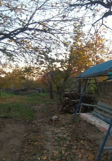 Bağ evlərinin kirayəsi: Kirayə üçün ev - Plan: böyük zal, ayrıca yataq otaqları - Zal: taxta — 10