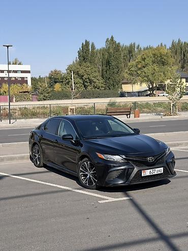Toyota Camry: 2019 г., 2.5 л, Автомат, Бензин, Седан