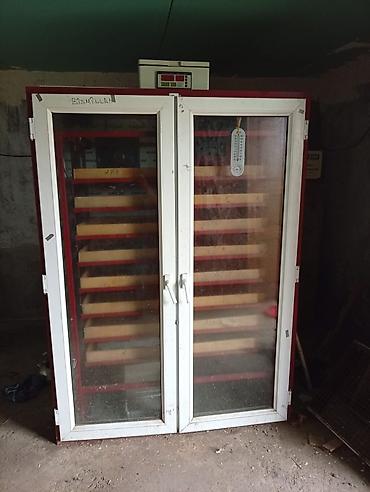 inkubator cucesi: Azərbaycan, Tam avtomat, Bütün növ quşlar üçün — 2