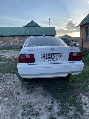 тайота камри бишкек: Toyota Camry: 1998 г., 1.8 л, Автомат, Бензин, Седан