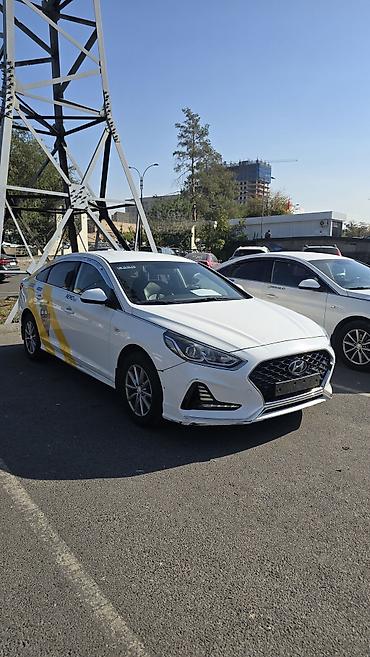 Hyundai: Hyundai Sonata: 2019 г., 2 л, Автомат, Газ, Седан — 5