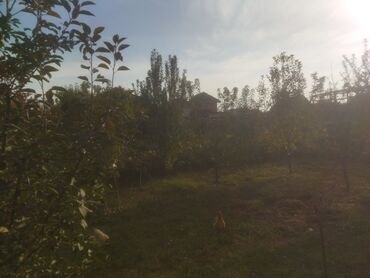 Продажа домов: Дом, 220 м², 7 комнат, Евроремонт at lalafo.kg — 14 Продажа домов: Дом, 220 м², 7 комнат, Евроремонт — 14