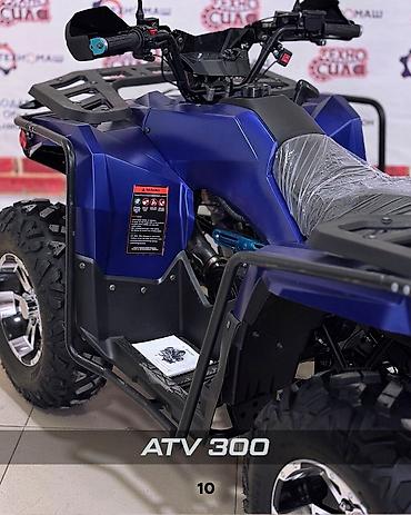 Квадроциклы: Квадроцикл Бензин, 320 куб. см, Взрослый — 10