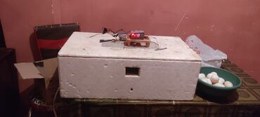 inkubator aparati satilir: Inqibator satılır samadelni yigiram isdeyen olsa sifaris ede biler