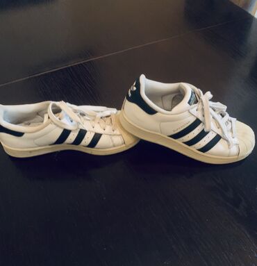 patike za odbojku: Adidas, 38.5, color - White