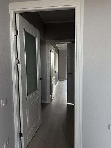 скорый: 1 комната, 50 м², Пишпек Элитка, 6 этаж, Евроремонт — 6
